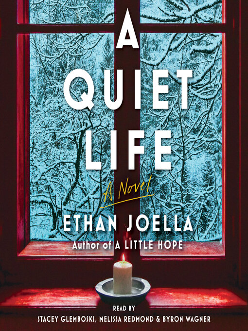 Title details for A Quiet Life by Ethan Joella - Wait list